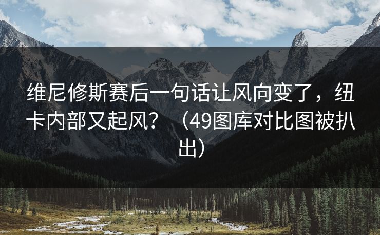 维尼修斯赛后一句话让风向变了，纽卡内部又起风？（49图库对比图被扒出）